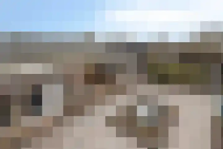 Haarsmastraat 9 Wapse thumbnail 36