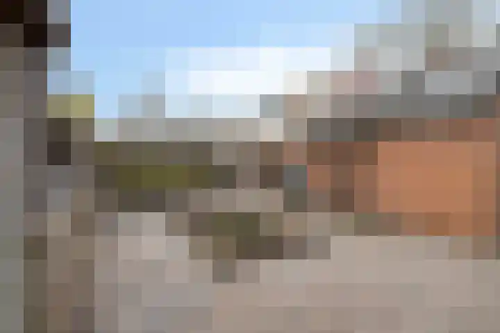 Haarsmastraat 9 Wapse thumbnail 37
