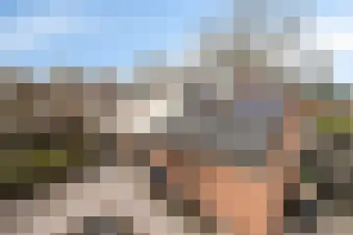 Haarsmastraat 9 Wapse thumbnail 39
