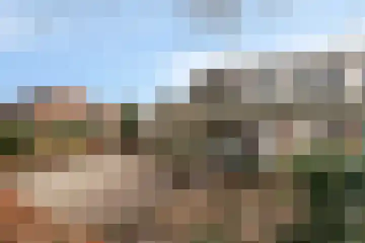 Haarsmastraat 9 Wapse thumbnail 46