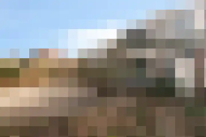 Haarsmastraat 9 Wapse thumbnail 47