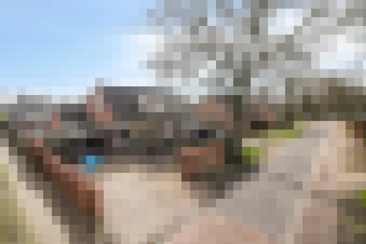 Haarsmastraat 9 Wapse thumbnail 48