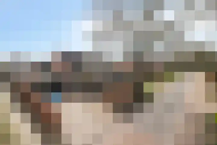 Haarsmastraat 9 Wapse thumbnail 48