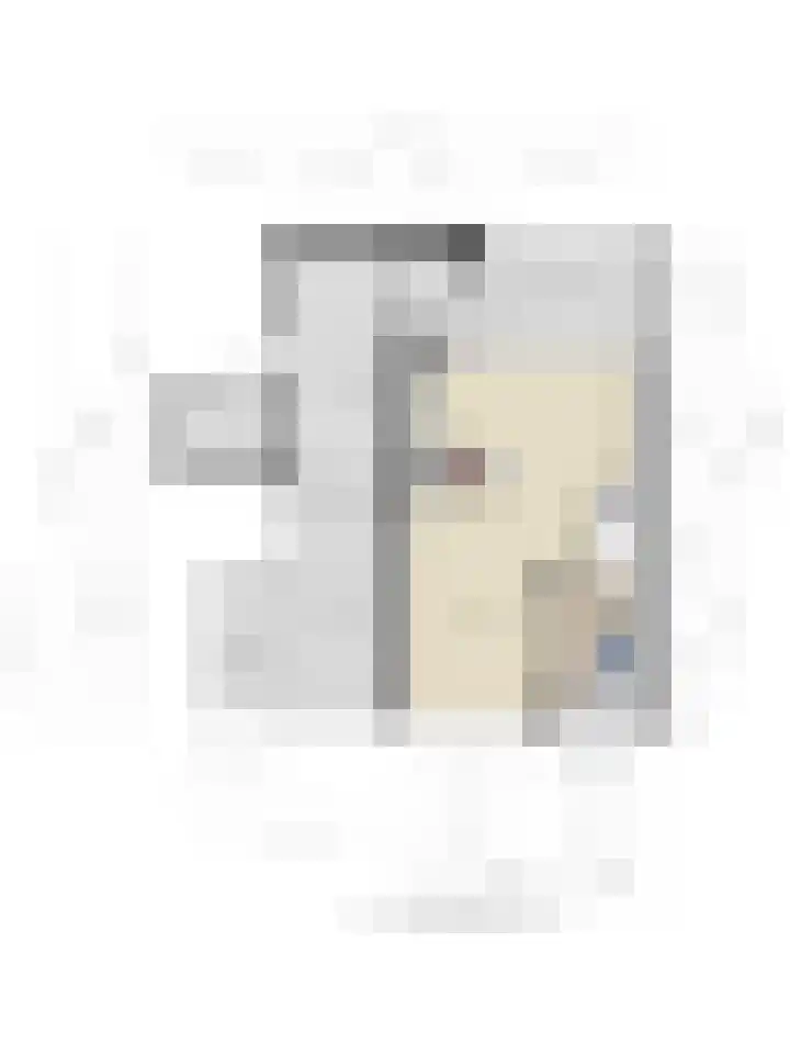 Haarsmastraat 9 Wapse thumbnail 49