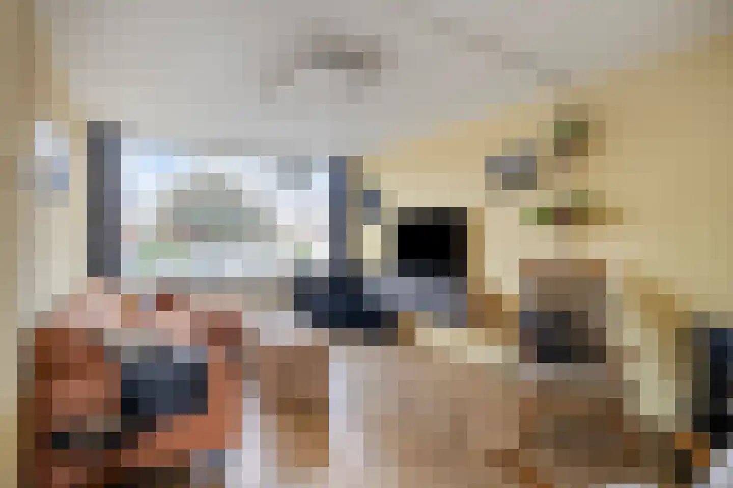 Haarsmastraat 9 Wapse thumbnail 6
