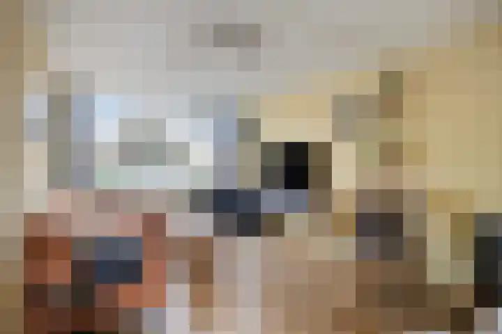 Haarsmastraat 9 Wapse thumbnail 6