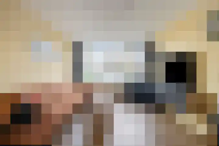 Haarsmastraat 9 Wapse thumbnail 7
