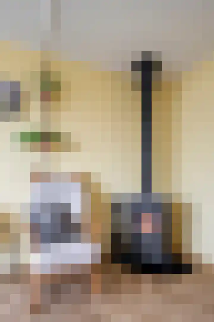 Haarsmastraat 9 Wapse thumbnail 9