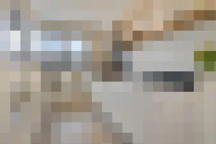 Haarspit 15 Denekamp thumbnail 12