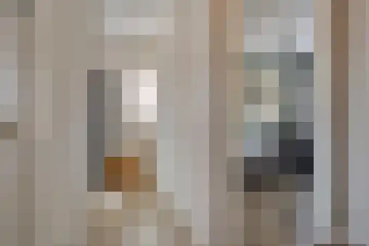 Haarspit 15 Denekamp thumbnail 20