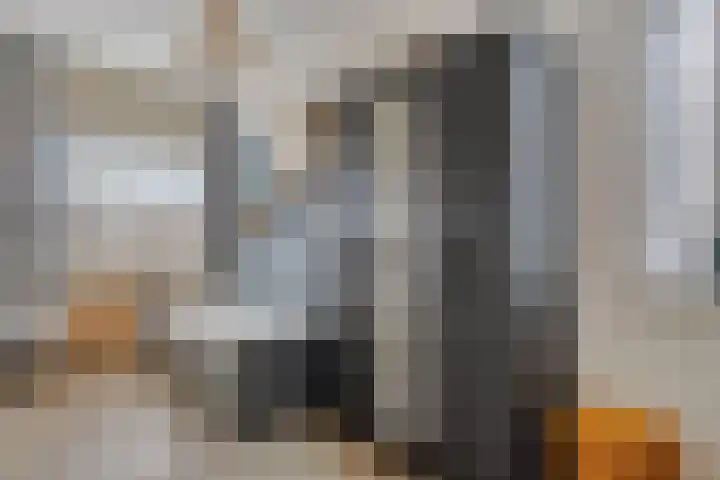 Haarspit 15 Denekamp thumbnail 24