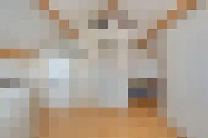 Haarspit 15 Denekamp thumbnail 27