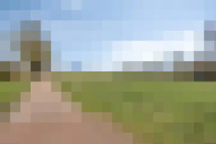 Haarspit 15 Denekamp thumbnail 36