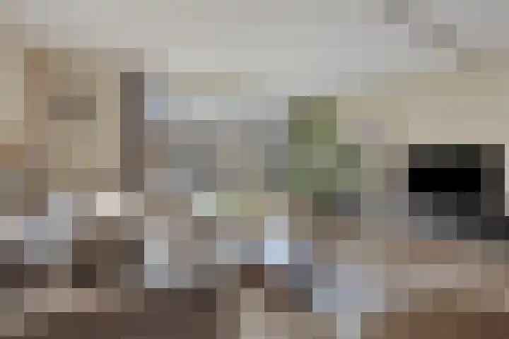 Haarspit 15 Denekamp thumbnail 5
