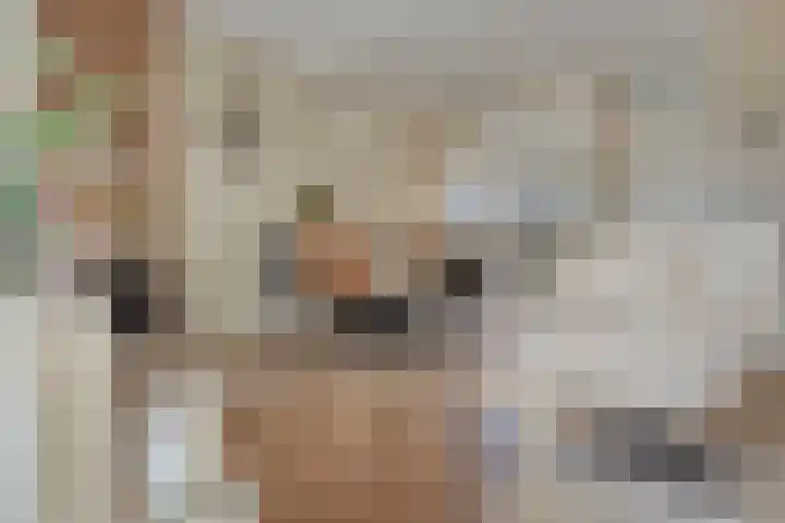 Haarspit 15 Denekamp thumbnail 9