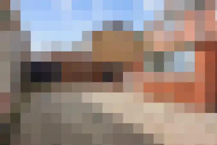 Haarspit 23 Denekamp foto 2