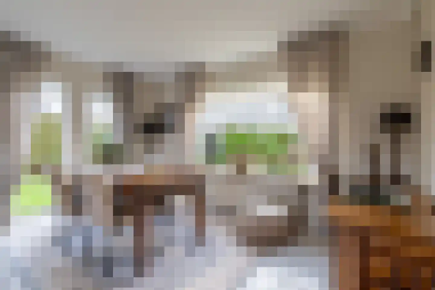 Haarspit 24 Vriezenveen thumbnail 14