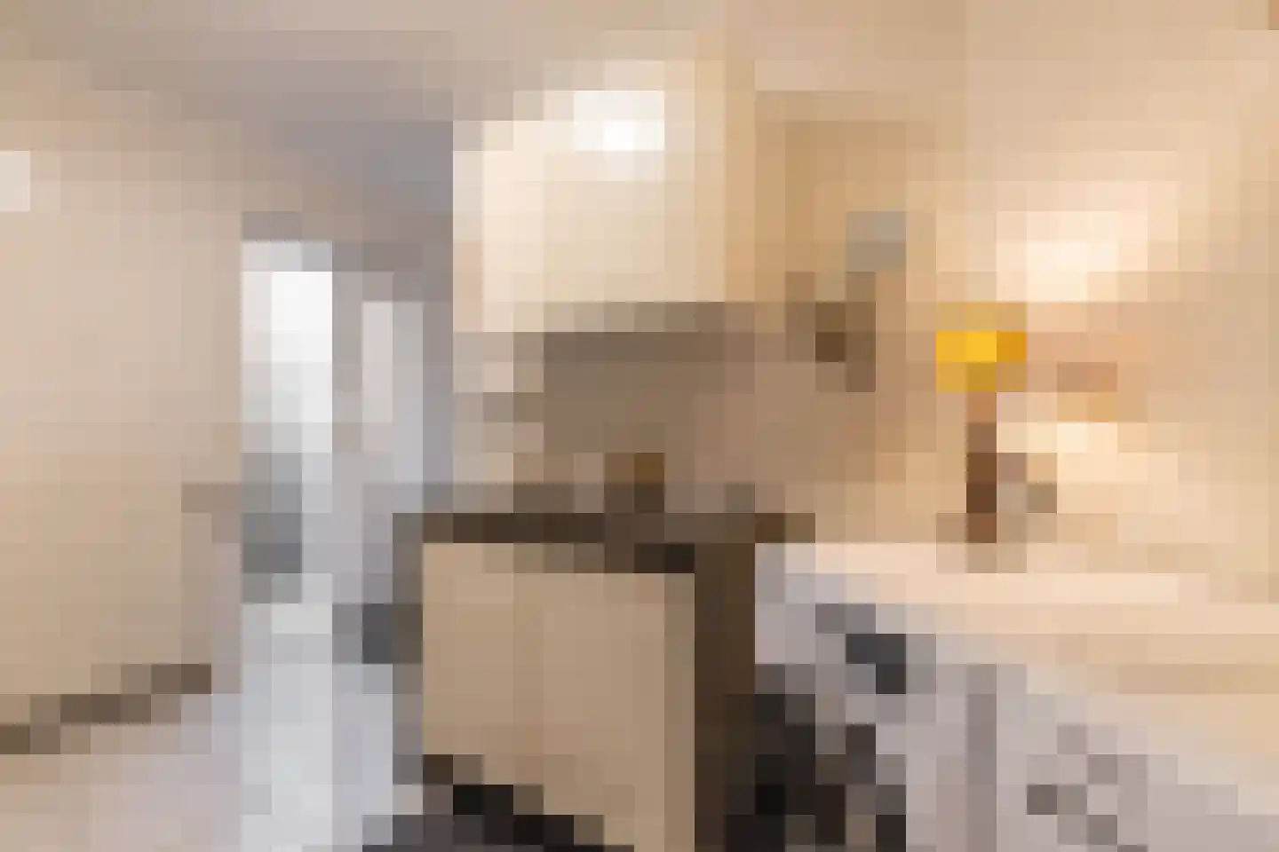 Haarspit 24 Vriezenveen thumbnail 25