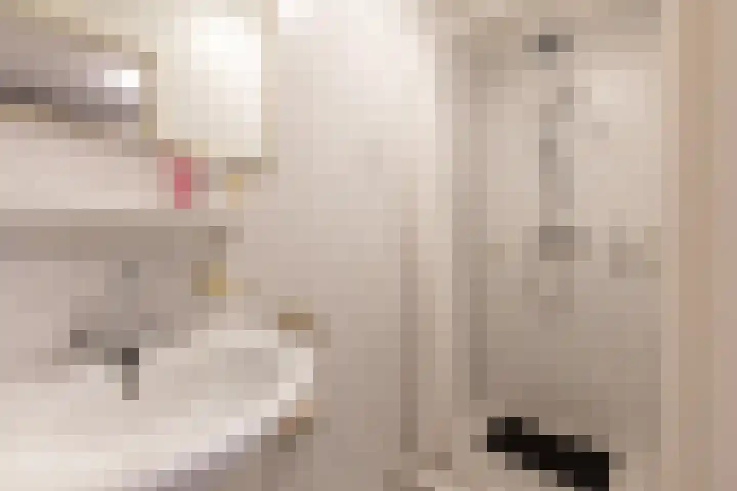 Haarspit 24 Vriezenveen thumbnail 30
