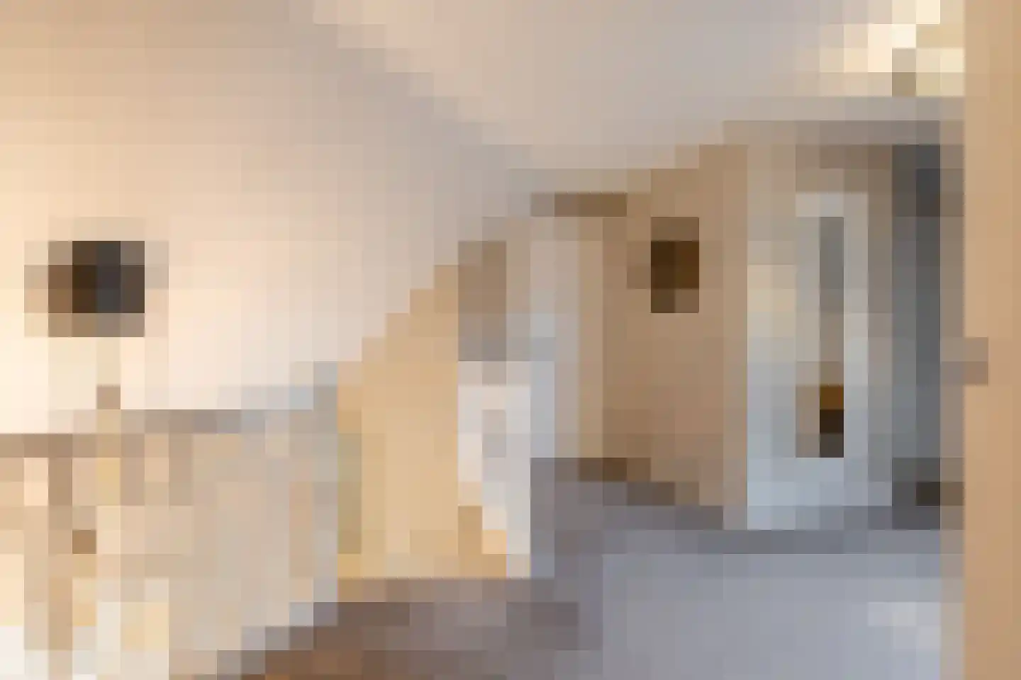 Haarspit 24 Vriezenveen thumbnail 31