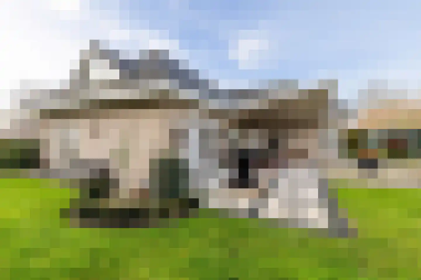 Haarspit 24 Vriezenveen thumbnail 40