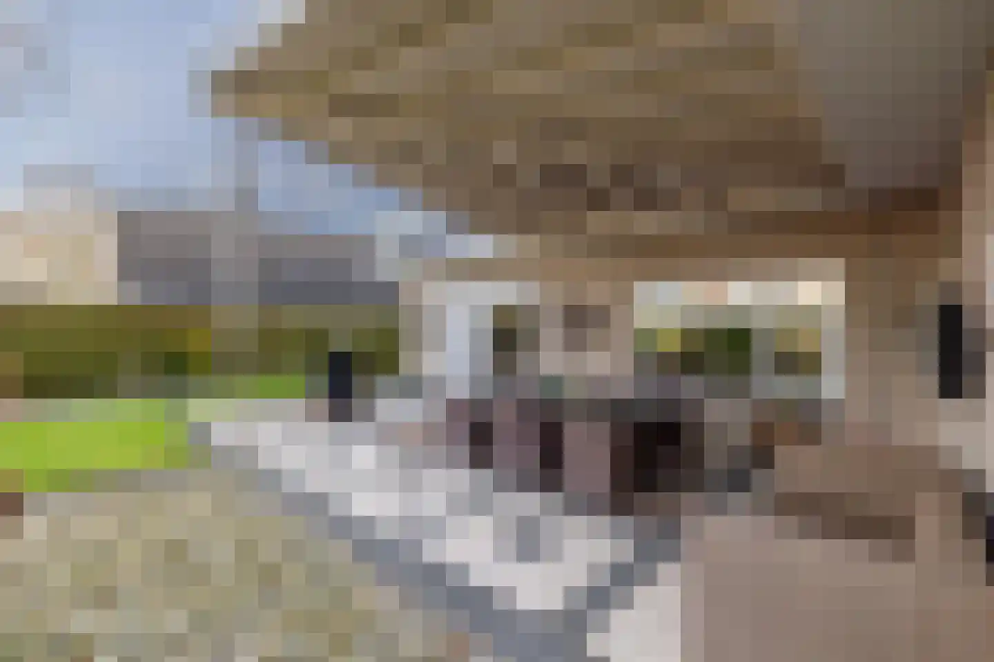 Haarspit 24 Vriezenveen thumbnail 41