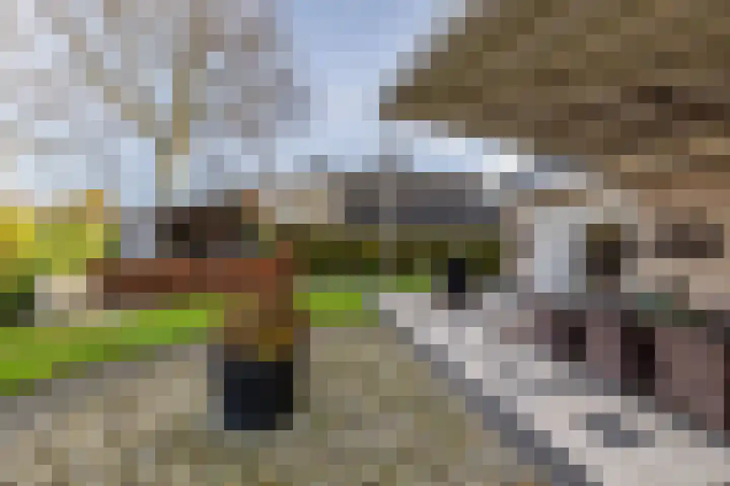 Haarspit 24 Vriezenveen thumbnail 42