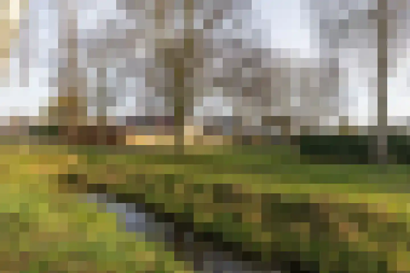 Haarspit 24 Vriezenveen thumbnail 47