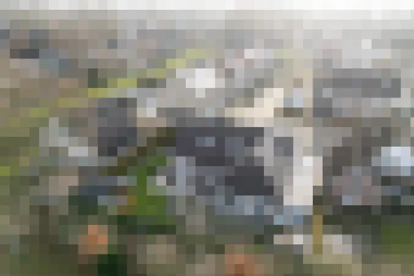 Haarspit 24 Vriezenveen thumbnail 50