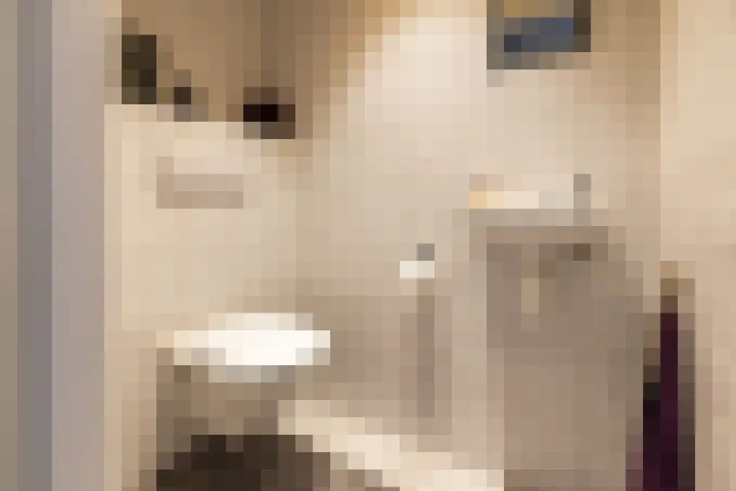 Haarspit 24 Vriezenveen thumbnail 8