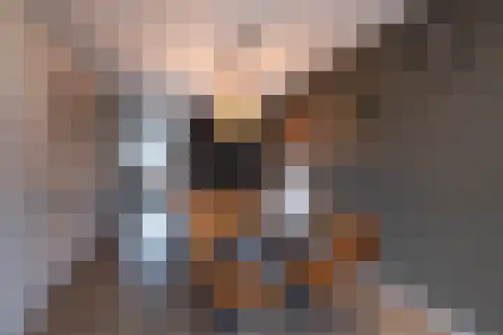 Haarspit 3 Vriezenveen thumbnail 8