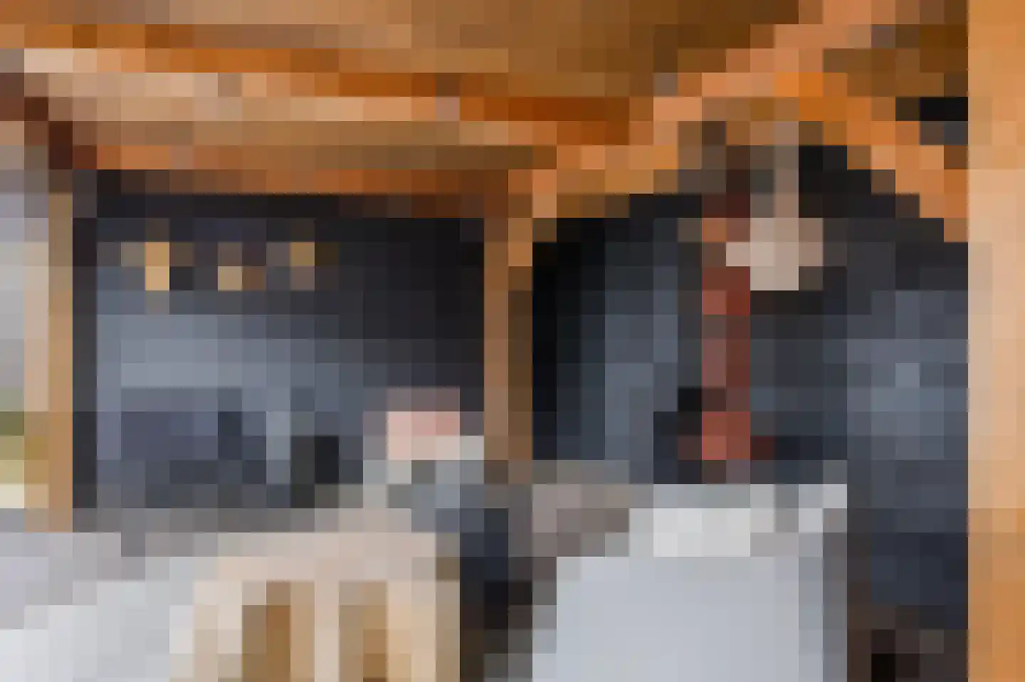 Haarspit 44 Vriezenveen thumbnail 39