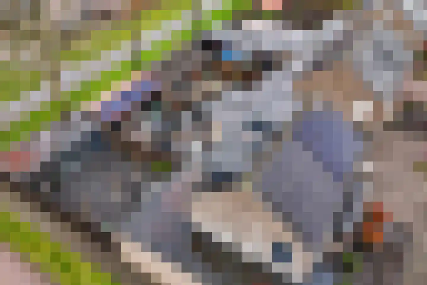 Haarspit 44 Vriezenveen thumbnail 45