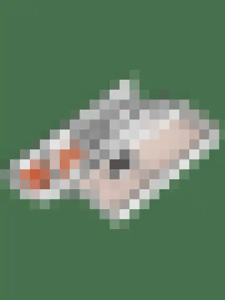 Haarspit 44 Vriezenveen thumbnail 48