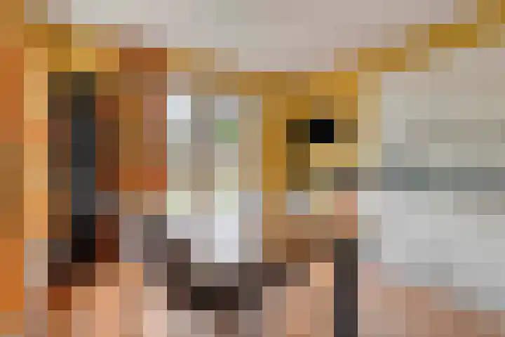 Haarspit 55 Denekamp thumbnail 13