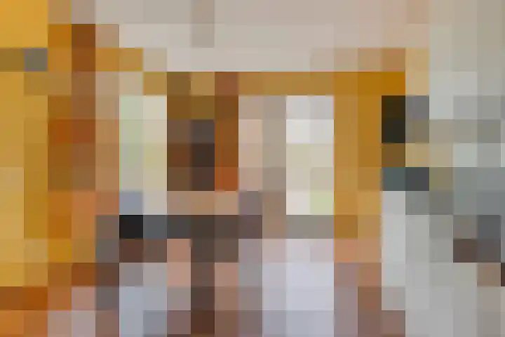 Haarspit 55 Denekamp thumbnail 14