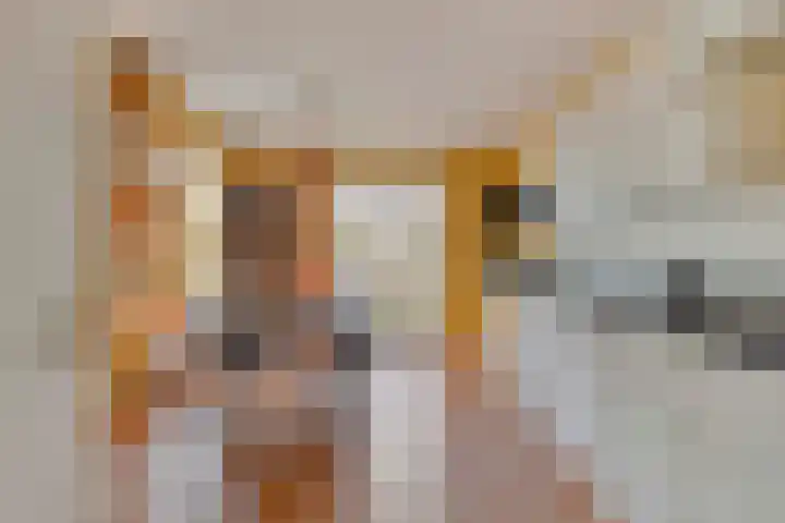 Haarspit 55 Denekamp thumbnail 17