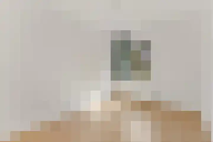 Haarspit 55 Denekamp thumbnail 18