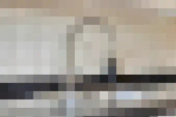 Haarspit 55 Denekamp thumbnail 19