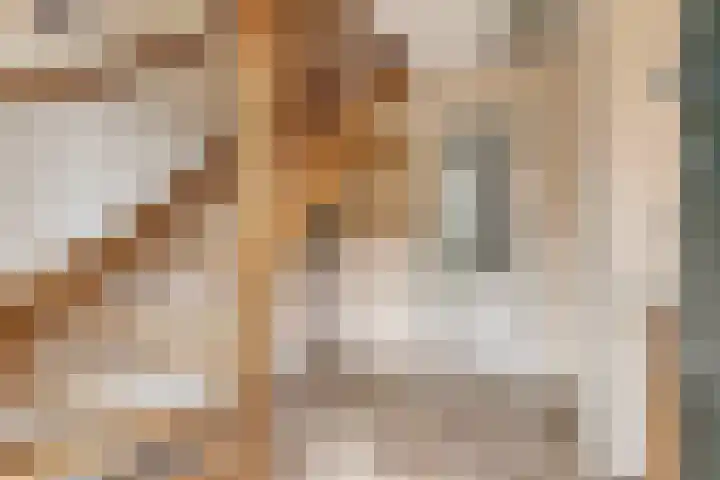 Haarspit 55 Denekamp thumbnail 24