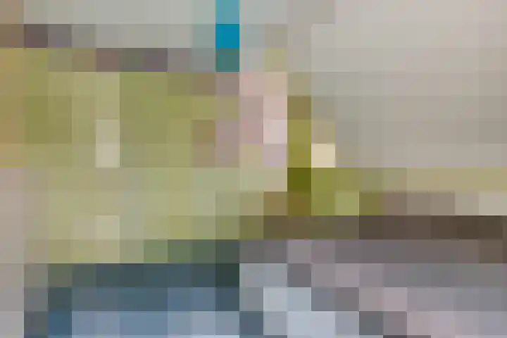 Haarspit 55 Denekamp thumbnail 34