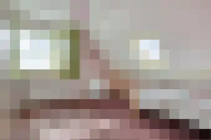 Haarspit 55 Denekamp thumbnail 35
