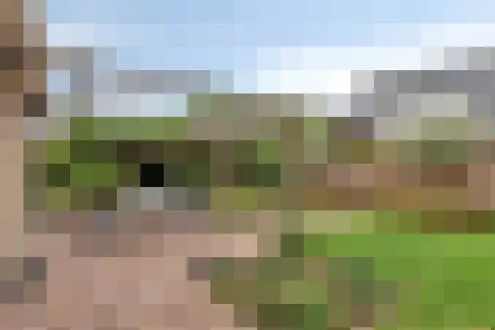 Haarspit 55 Denekamp thumbnail 37