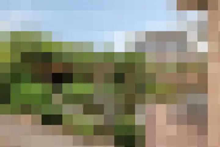 Haarspit 55 Denekamp thumbnail 38