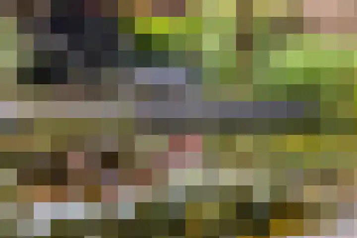 Haarspit 55 Denekamp thumbnail 39