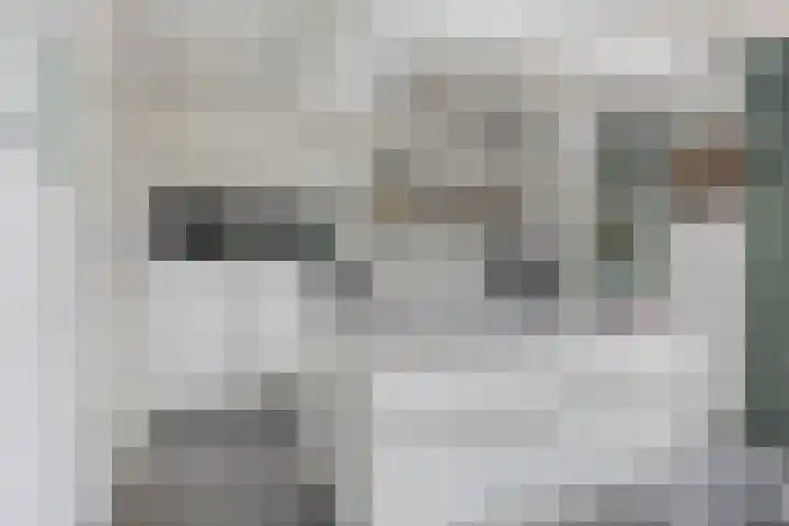 Haarspit 55 Denekamp thumbnail 4