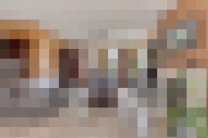 Haarspit 55 Denekamp thumbnail 4