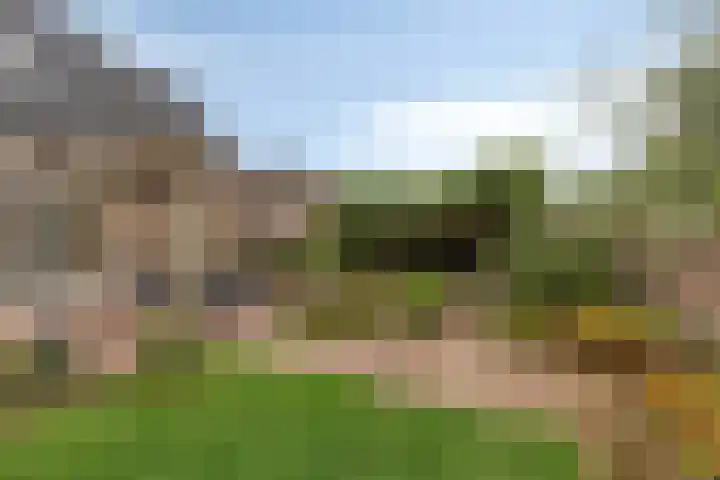 Haarspit 55 Denekamp thumbnail 42