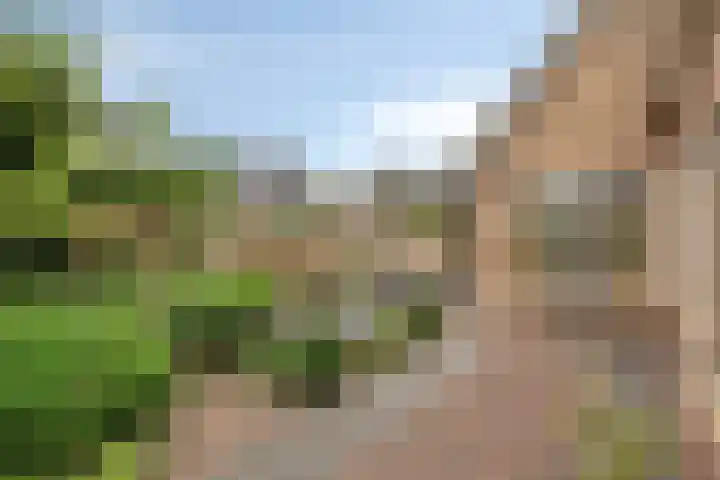 Haarspit 55 Denekamp thumbnail 43