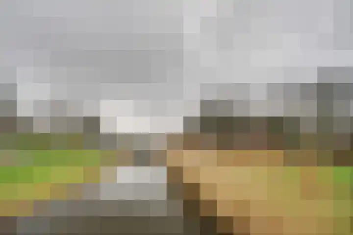 Haarspit 55 Denekamp thumbnail 46